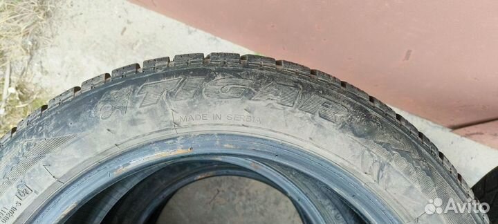 Tigar Sigura Stud 205/55 R16 94T