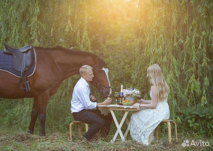 Романтическая прогулка на лошадях
