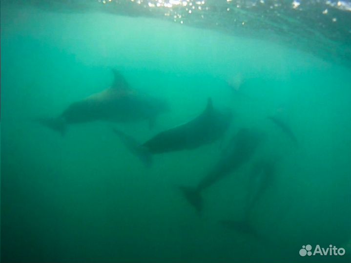 Аренда парусной круизной яхты в Анапе