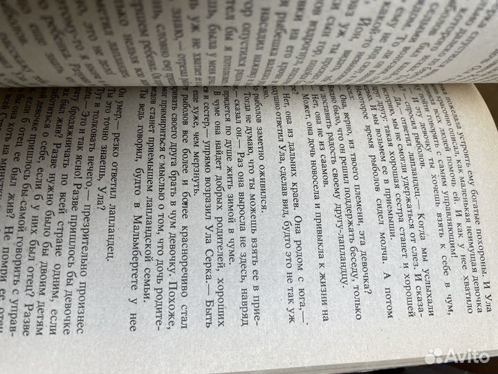 Путешествие Нильса с дикими гусями