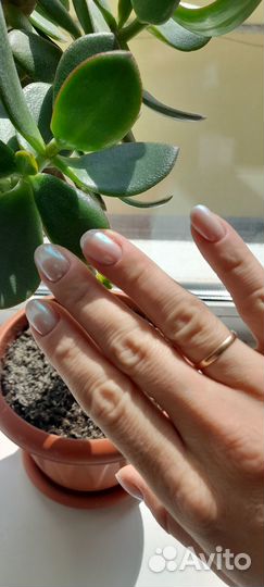 Маникюр педикюр на дому