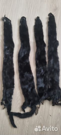 Шкурка норки 8 шт. Песец 1 шт, нутрия 40 шт