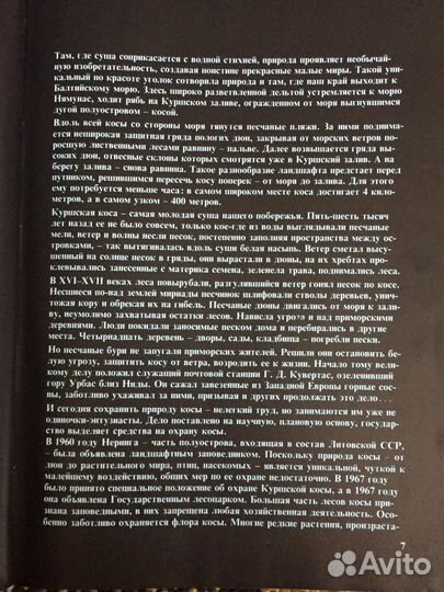 Раритетная неринга (neringa) и другие книги