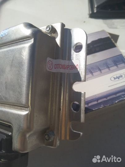 Эбу, мозги на калину