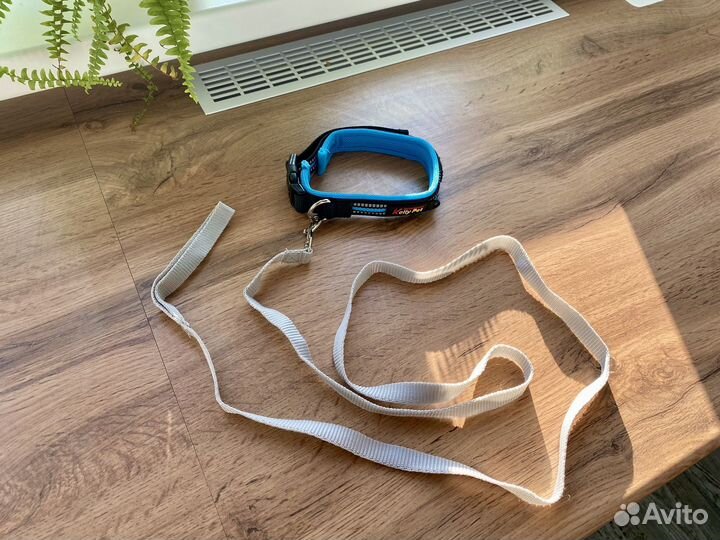 Ошейник для щенка или средней собаки