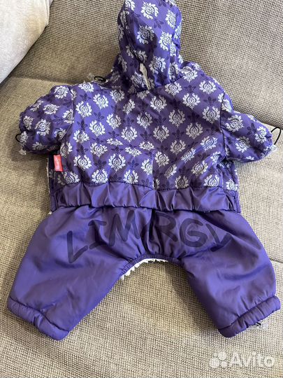 Одежда для маленьких собак