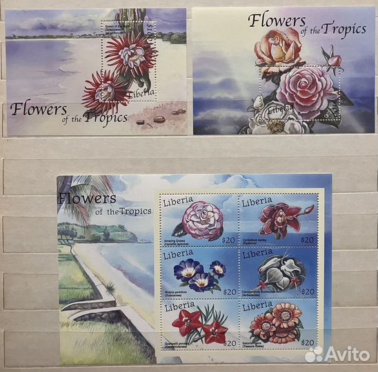 Марки Флора Цветы Грибы Орхидеи