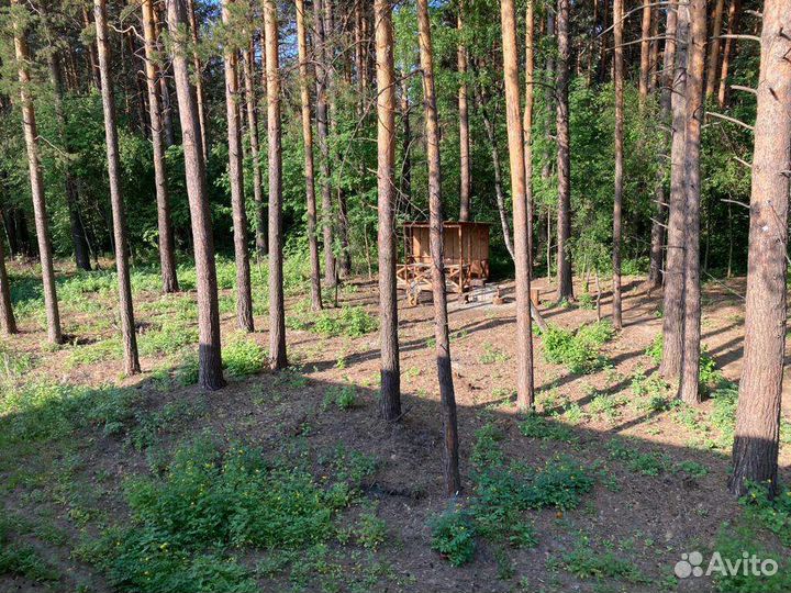 Аренда беседки