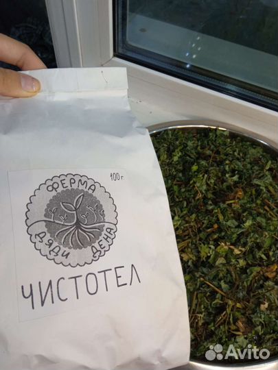 Чистотел сушенный