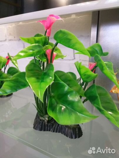 Аквариумные растения искусственные