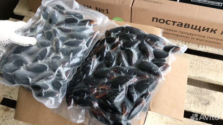 Мидии целые 40/60 чили