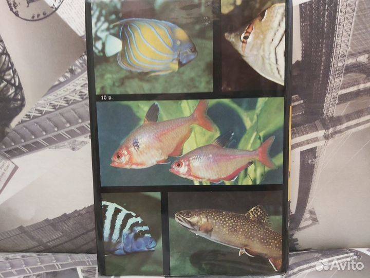 Энциклопедия рыб, иллюстрированная (суперобложка)