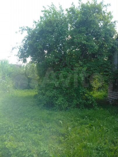 Участок 4,1 сот. (СНТ, ДНП)