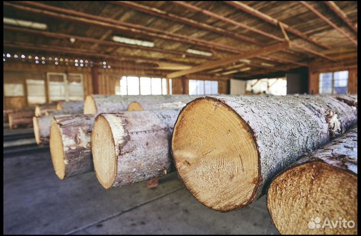 Пиловочник покупаем, хвоя, Диам. от 20 1500м3/мес
