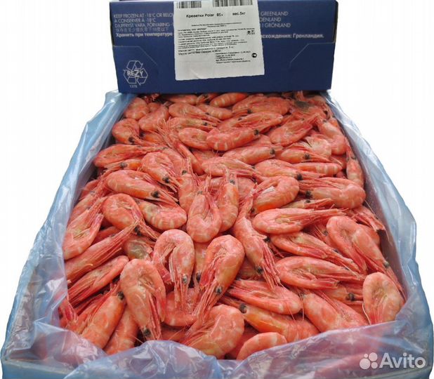 Креветка северная 90/120