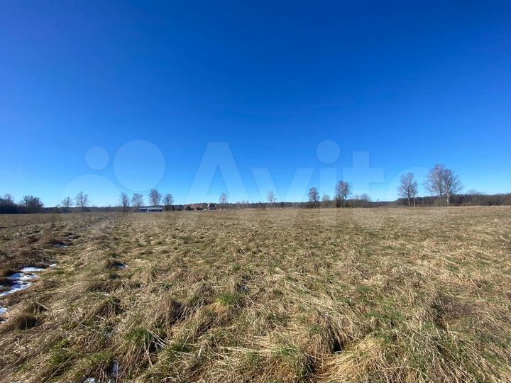 Участок 2 га (СНТ, ДНП)