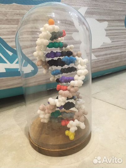 Днк в колбе (scienceart)