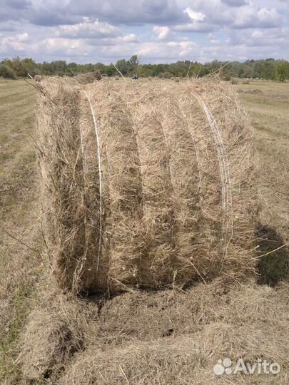 Луговое сено