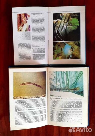 4 книги по аквариумистике