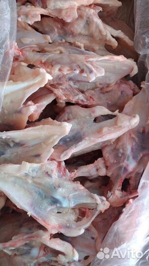 Мясо курицы для собак