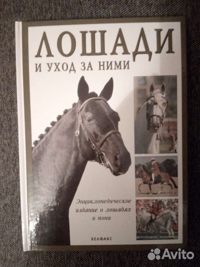 Книга Лошади и уход за ними