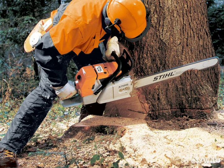 Спил деревьев