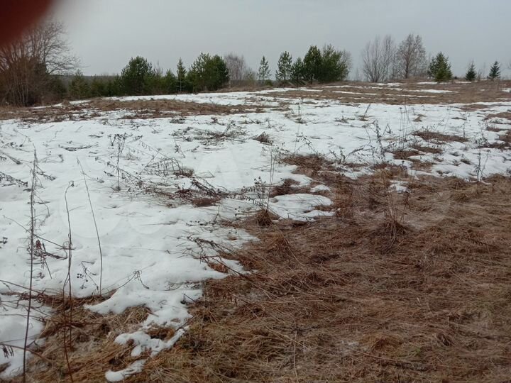 Участок 12 сот. (ИЖС)