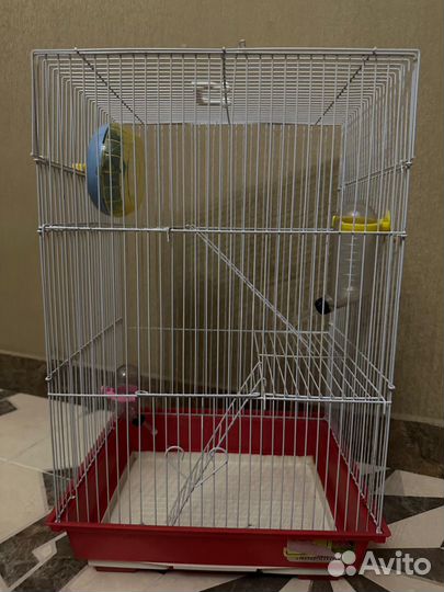 Клетка для грызунов