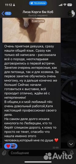 Дрессировка собак (кинолог/хендлер/ветдиетолог)