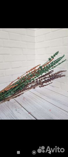 Лаванда стабилизированная