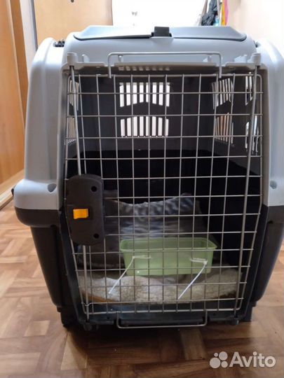 Переноска skudo 5