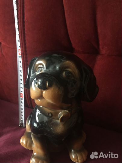 Собака копилка