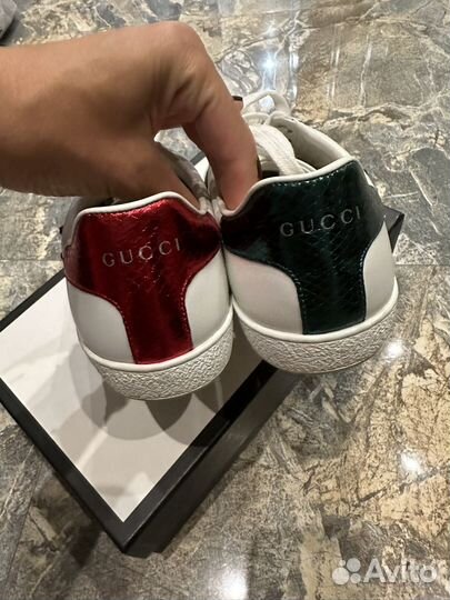 Кеды gucci оригинал