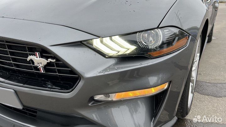 Ford Mustang 2.3 AT, 2021, 19 000 км