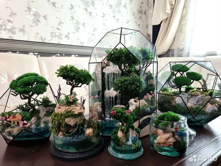 Моссариум в чайной паре-подарок на любой праздник