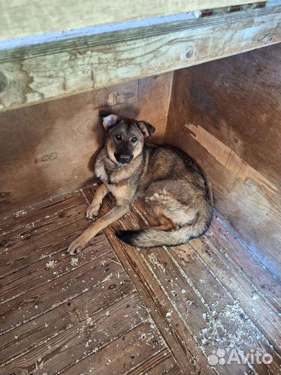 Малышка Лили нуждается в семье