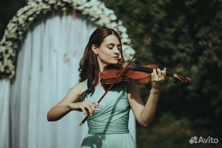 Скрипка на праздник. Живая музыка