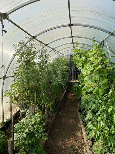 Дом 60 м² на участке 8 сот.