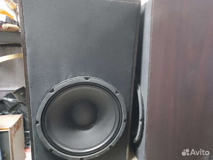 Колонки по 300 Вт мощности