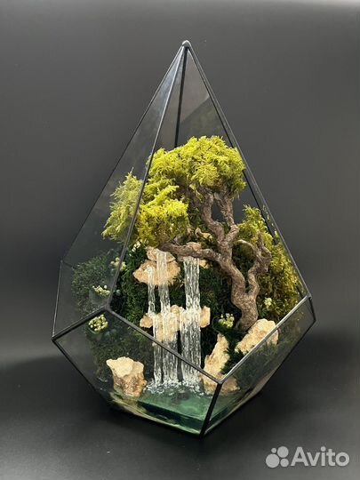 Флорариум(моссариум)