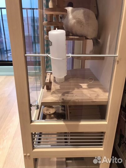 Витрина для шиншилл, Дегу, белок «Лето-2»