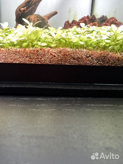 Грунт для террариума или аквариума