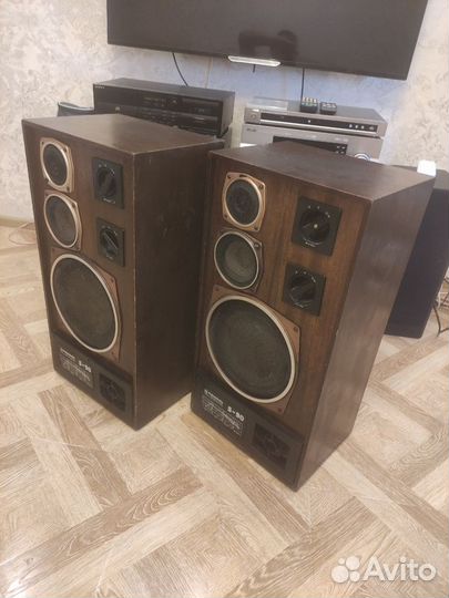 Radiotehnika S90 35ас-012