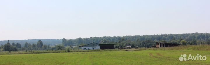 Ферма и земля возле М5