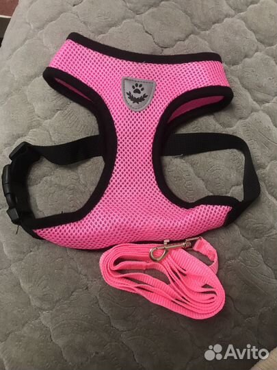 Шлейка с поводком