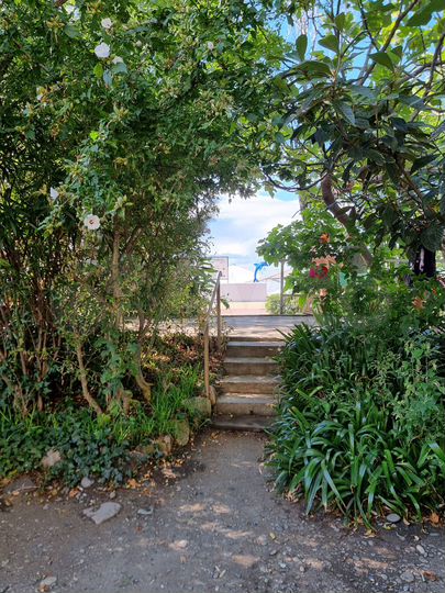 Комната 10 м², 1/1 эт.