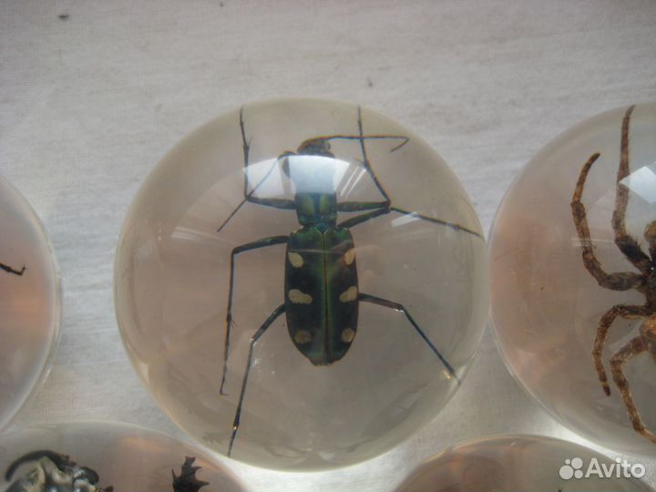 Чудеса природы насекомые минералы журнал Eaglemoss