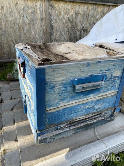 Улий для пчел