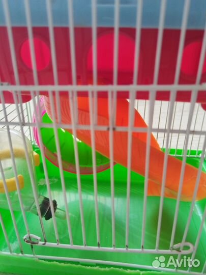Клетка для хомяка