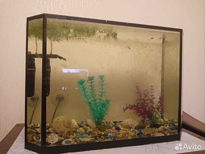 Аквариум 50литров